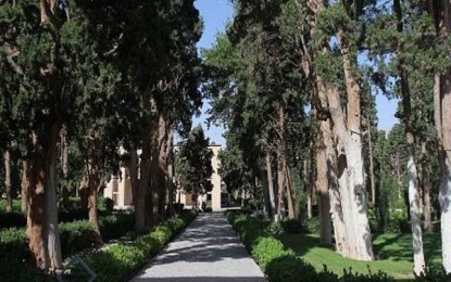     مدیرکل میراث فرهنگی استان اصفهان؛ درختان باغ فین کاشان بطور ویژه حفاظت می شود   